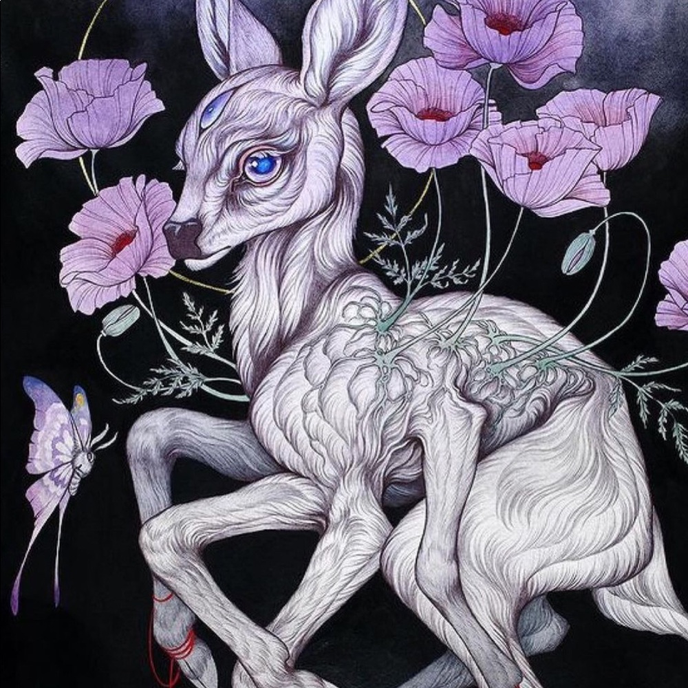 Meet your Posher, Hayley